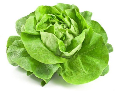 SAŁATA MASŁOWA.jpg