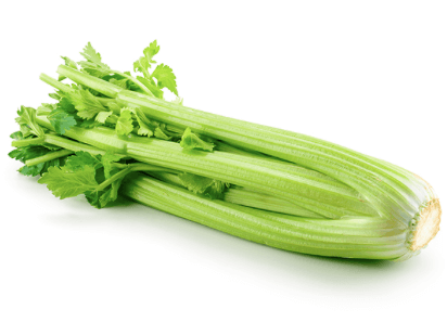 SELER NACIOWY.png