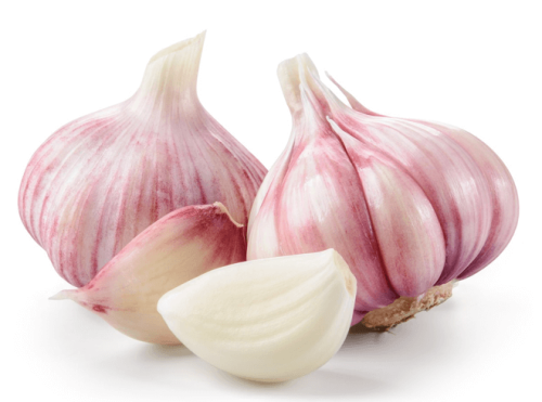 czosnek swiezy.png