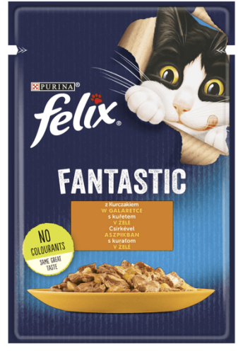 felix kurczak.png