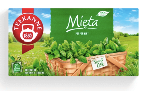 teekanne mięta.png