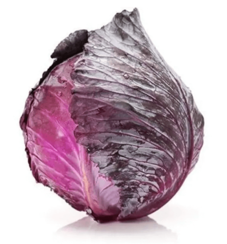 KAPUSTA CZERWONA.png